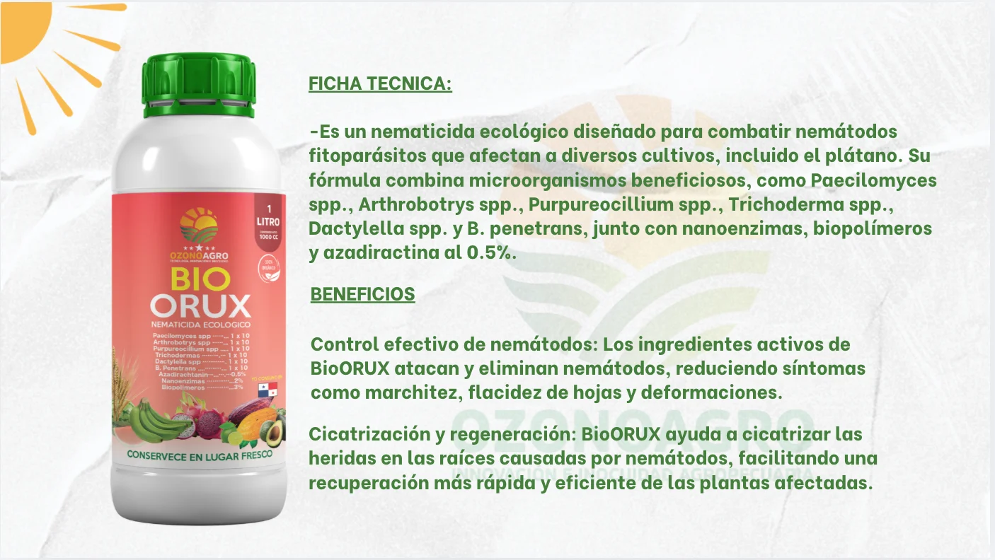 Composición Bio Insecticida