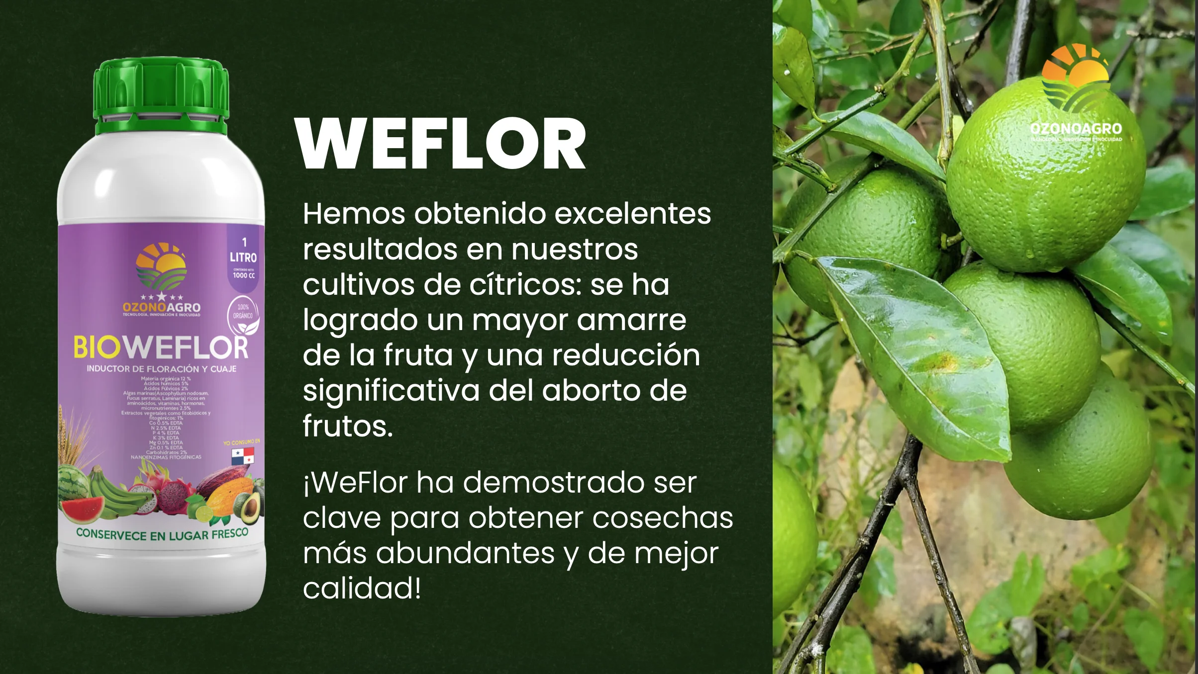 Beneficios Agronómicos Biweflor