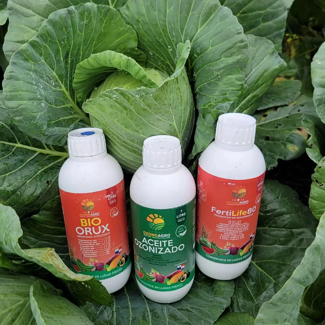Botellas de productos vistas desde arriba con cultivo de repollo