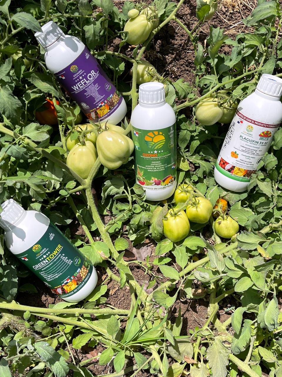 Línea de productos Ozonoagro junto al tomate del cultivo